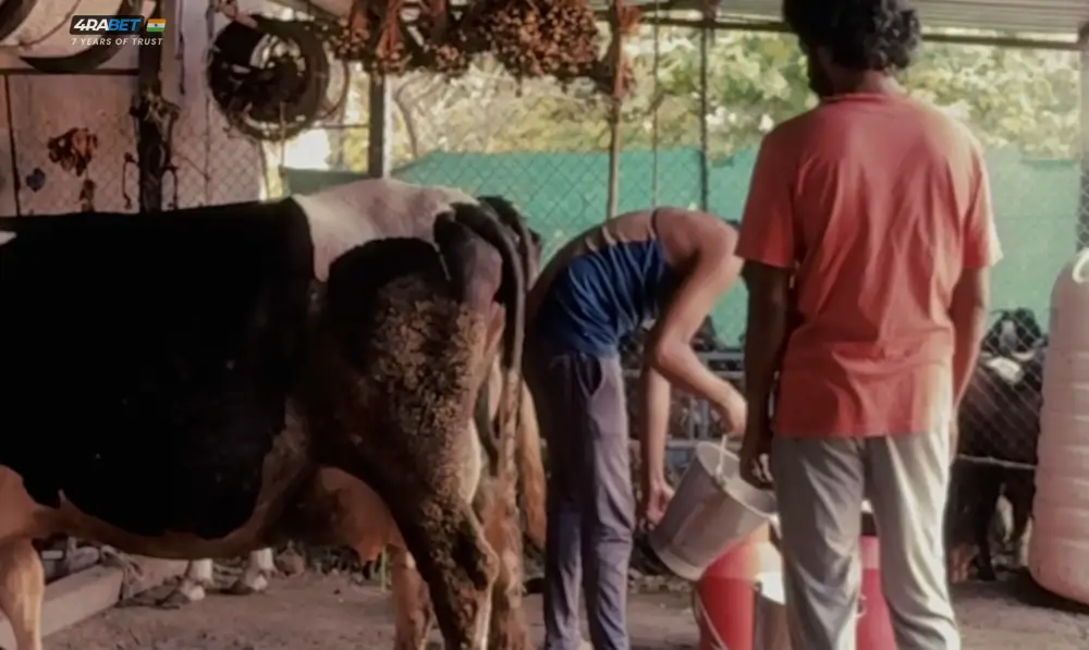 Cactus Pears (2025) — screenshot