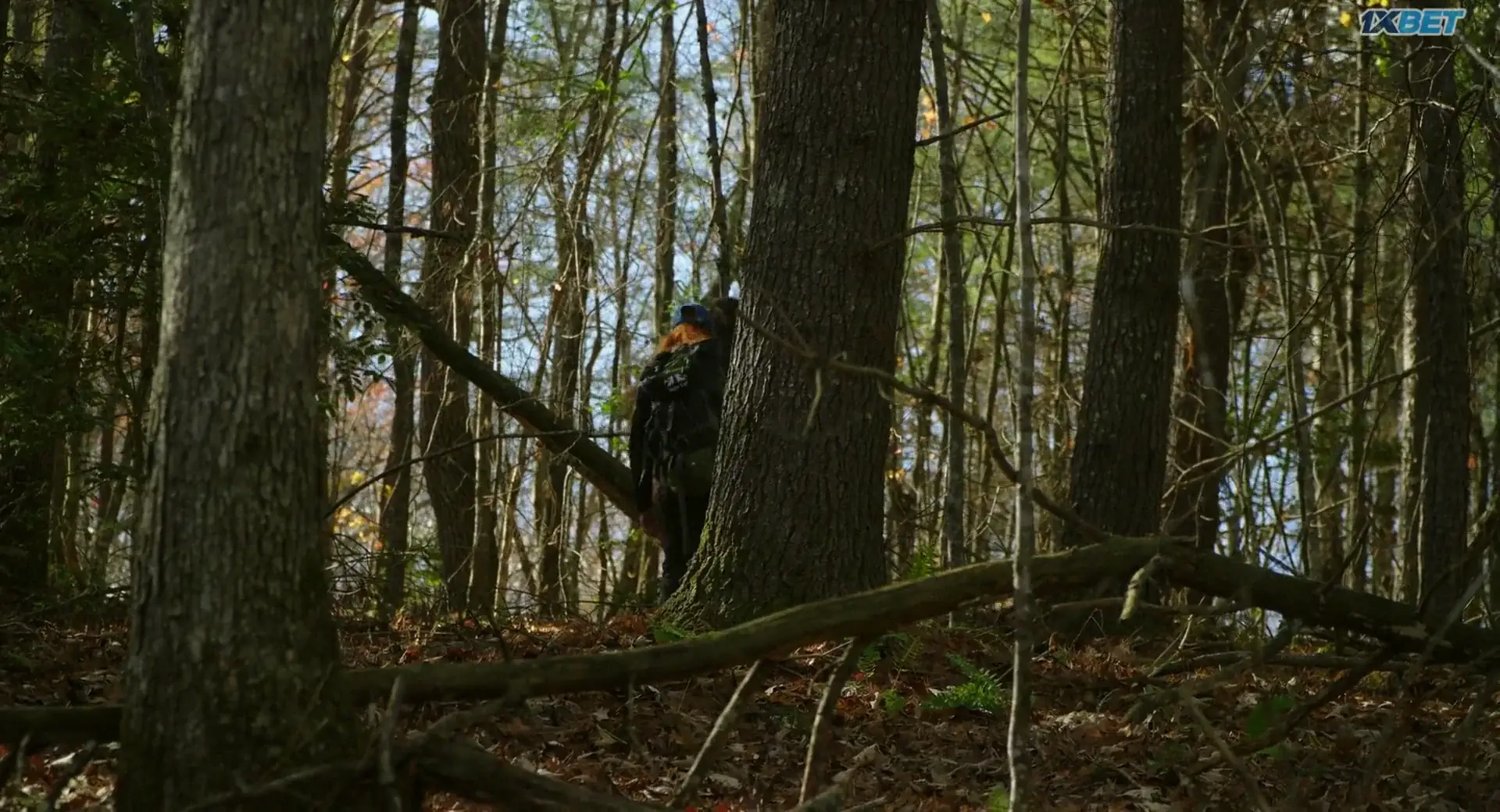 View The Hike (2024) — screenshot The Hike (2024) — screenshot