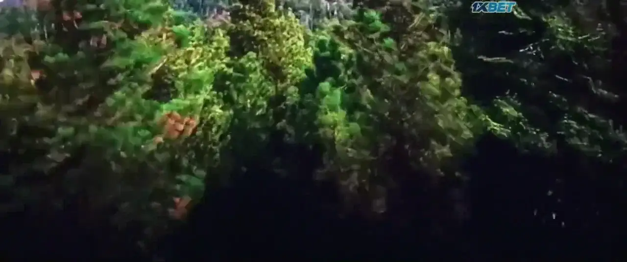 Run (2025) — screenshot