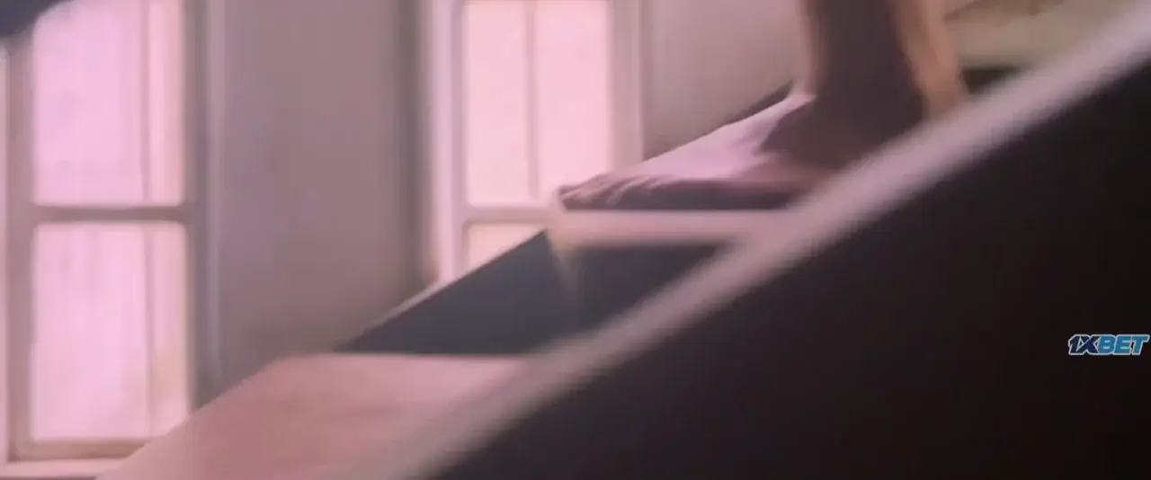 Transamazonia (2025) — screenshot