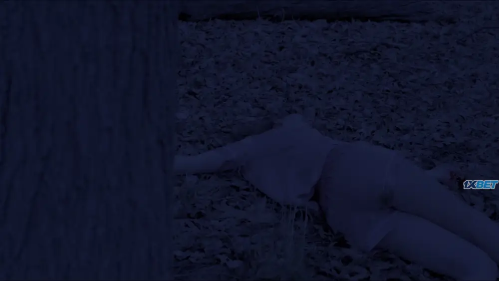 Open (2023) — screenshot