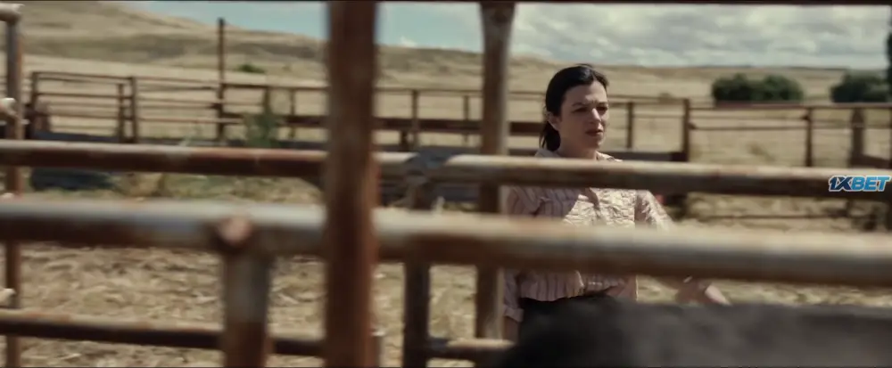 In Vitro (2025) — screenshot