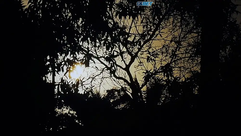 #SalveRosa (2024) — screenshot