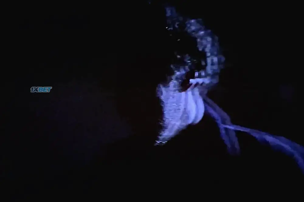 The Thing with Feathers (2025) — screenshot