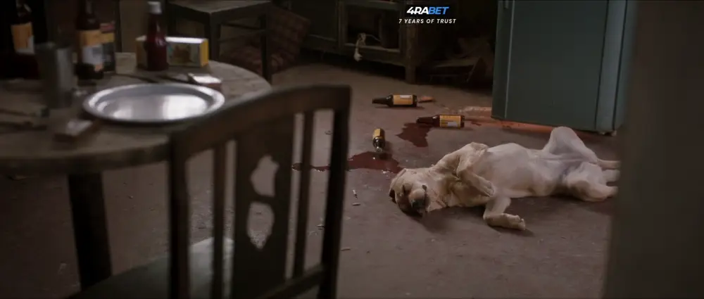 777 Charlie (2022) — screenshot