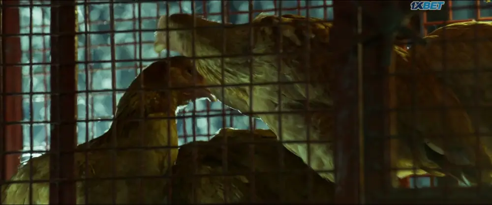 Hit List (2019) — screenshot