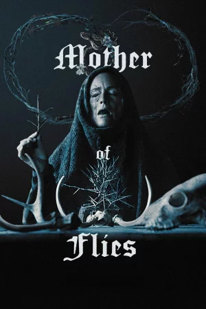 Mother of Flies (2025) — poster