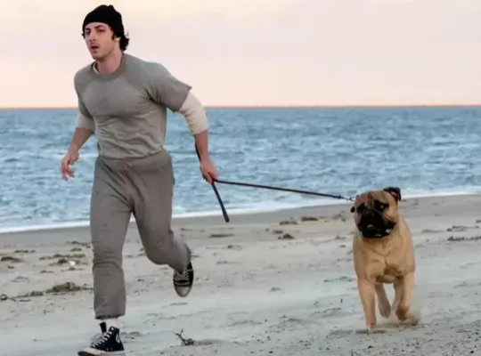 "Rocky Is Me" to Release for the 50th Anniversary of Sylvester Stallone's Cult Film () — poster