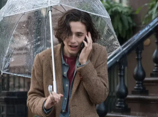 Timothée Chalamet Sacrificed Relationship with Woody Allen for Oscar. () — poster