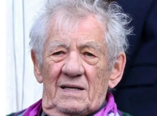 Ian McKellen Criticizes 2026 Oscar Nominee 'Hamnet' () — poster