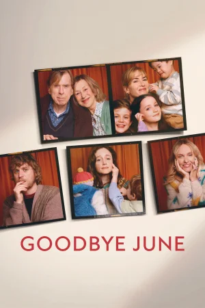 Goodbye June (2025) — poster