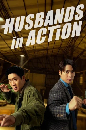 Husbands in Action (2026) — poster